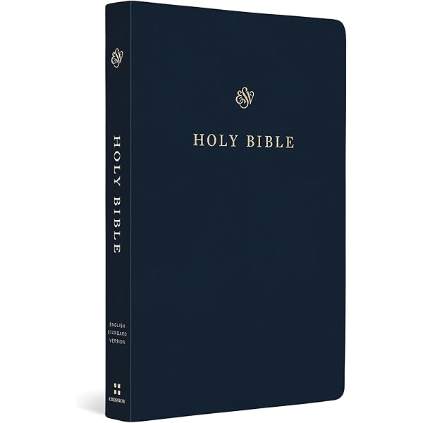 洋書 The HOLY BIBLE English standard version 91AJ8ztYdOL._UF350,350_QL50_.jpg