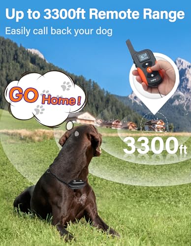 PaiPaitek 2-in-1 Dog Bark Collar and Shock Collar with Remote 3300ft Range - 5 Adjustable Sensitivity Levels, IP67 Waterproof Training Collar for Medium Large Dogs (40-150 lbs) | Indoor & Outdoor Use