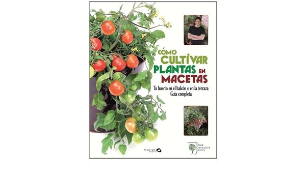 COMO CULTIVAR PLANTAS EN MACETAS: Amazon.es: COX MARTYN: Libros