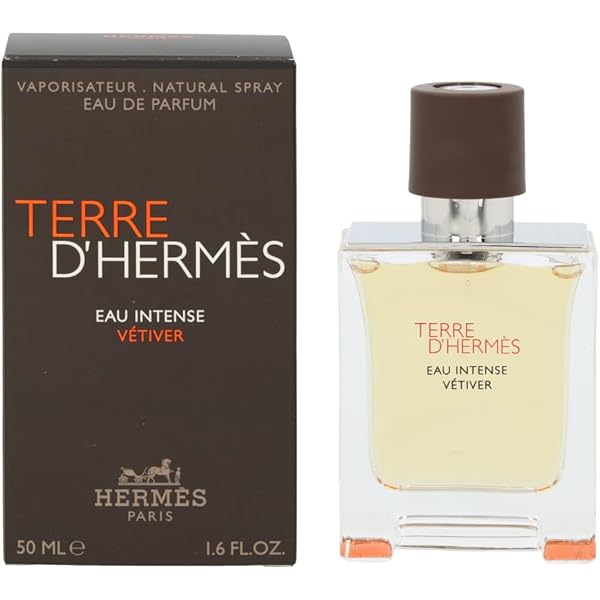 Amazon.com : Terre DHermes Eau Givree by Hermes for Men - 1.6 oz