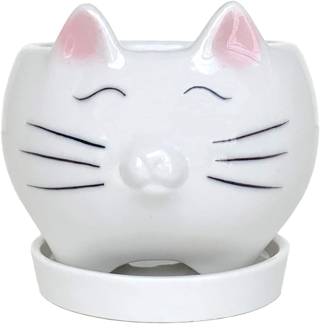 Qiuhome Mini Cute Cat Succulent Planter Pots Flower Pot Decorative White Ceramic Containers with Tray Saucer (Cat)