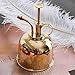 Leiyini Plant Mister Vintage Brass Mister Succulent Plants Watering Can Pot Decorative Brass Sprayer Watering Can Metal Plant Sprayer Mister Brass Gold Garden Tool for Flowers and Succulents