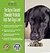 Huma.ne Everyday Probiotics for Dogs: Soft Bite-Sized Bacon Flavored Treats - Remedy Vomiting, Diarrhea, Constipation and Gas/Bloating (102 Treats/4 Billion CFU)