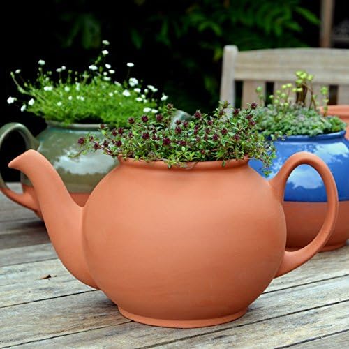 Weston Mill Pottery Terracotta Teapot planter Large (17cm diameter) Amazon.co.uk Garden