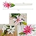 Meiwo Artificial Flowers, 5pcs Artificial Lillies with 3 Buds, Full Bloom Artificial Latex Real Touch Flowers for Home Decor, Wedding, Parties, Offices, Restaurants(Pink)