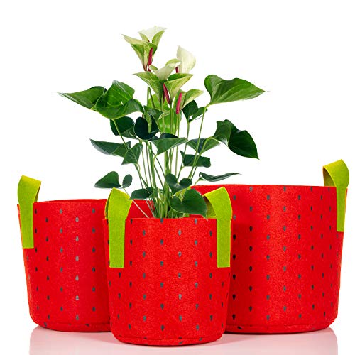 MIMA2672 Fabric Grow Pots, 3 Pack, 3-Gallon, 5-Gallon, and 7-Gallon Outdoor Planters with Advanced Aeration, Yields Stronger, Healthier Plants, Vegetables and Vegetation (Red Black Dots)