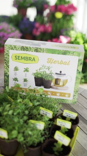 Sembra Big Kit Cultivo, 25.5x33.5x9 cm: Amazon.es: Jardín