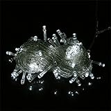 100 LED 10m String Decoration Light for Christmas Party Wedding 110V (white) Ships from CA