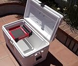 Cooler Shelf (MEDIUM, Red)