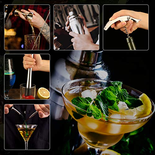 Cocktail-Shaker-Set, 750 ml, 16-teiliges Mixologie-Barkeeper-Set mit Bambus-Ständer - professionelles Edelstahl… – Bild 6