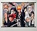 Home Decor Anime japanese Bleach abarai renji POSTER WALL Scroll 23.6 X 17.7 Inches-266