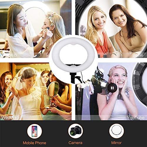5 Kshioe+Dimmable+Continuous+Photography+Smartphone