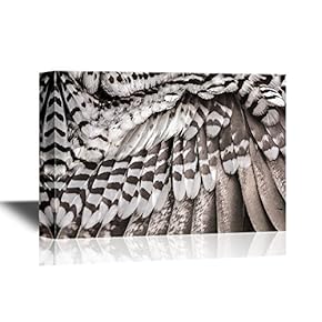 Canvas Wall Art - Bird Feather - Gallery Wrap Modern Home Art | Ready to Hang - 12x18 inches