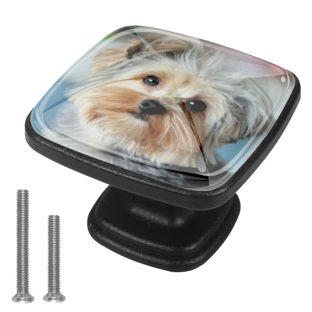 Schrankknöpfe Süßer Welpe Schrankknöpfe und zieht gemischte