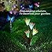 Outdoor Solar Garden Lights - Outdoor Solar Lights, 3 Pack LED Color Changing Outdoor Solar Powered Lights for Patio, Backyard (2 Lilly Flowers and 1 Butterfly)
