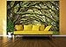 GREAT ART Large Photo Wallpaper – Oak Avenue – Picture Decoration Landscape Summer Forest Mystic Oaks Quercus Fairy Tale Alley Park Branches Image Decor Wall Mural (132.3x93.7in - 336x238cm)
