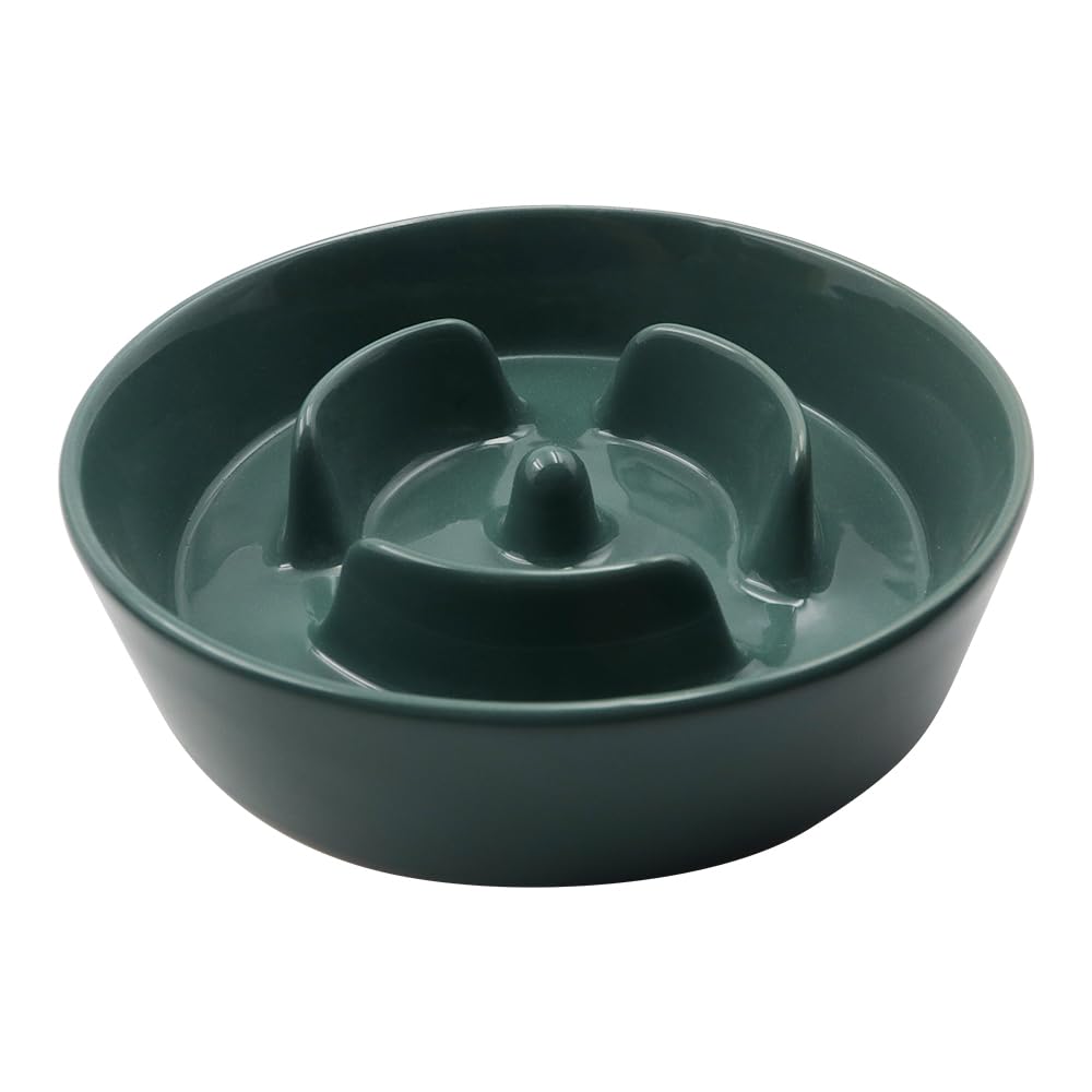 Sarini Slow Feeder Dog Bowl for Small to Medium Dogs, Green