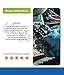 AMMEX Nitrile Industrial Disposable Gloves - Blue, 4 Mil, Latex Free, Powder Free, Industrial, Textured, Ambidextrous, Large, Box of 100
