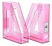 Acrimet Magazine File Holder, Durable Rack, Space-Saving Organizer (Plastic) (Clear Pink Color) (2 pack)