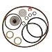 Chapin 6-5368 Pro Series Seal Kit For Chapin ProSeries Sprayers primary