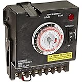 NSI Industries P1101FM-M 24 Hour DPST Swimming Pool Timer with Fireman Switch