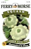 Ferry-Morse Squash - Early White Bush Scallop Seeds