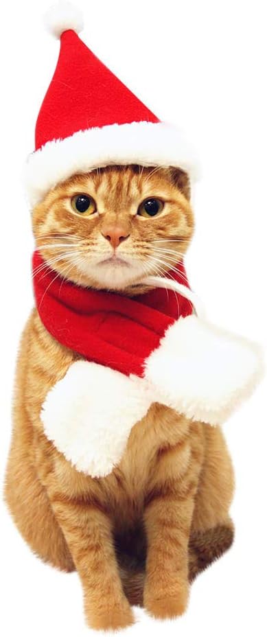 Squarex Pour Animal Domestique Chat Chien Chapeau écharpe