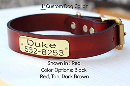 Magnus Leather Dog Collar 1" Leather with ID Plate (XL 17"-20" Hole Measurement, Premium Red)