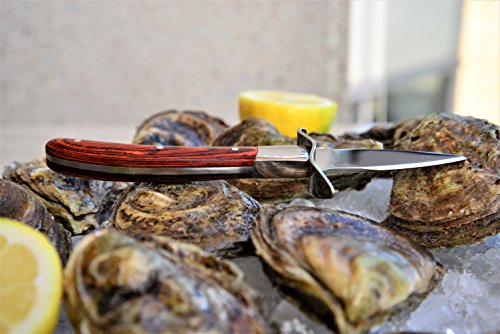 3 Oyster+Knife+HiCoup+Wood+handle+Shucking