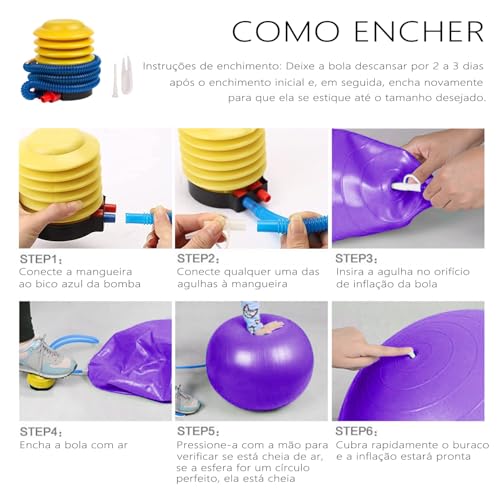 GODREAM Bola Pilates, Bola Fisioterapia, Bola Suiça, 55 cm, 65 cm, 75 cm, Anti estouro, Suporta até 300kg, Ideal para Gestante, Ginastica, Yoga, Academia e Pilates em casa, com Bomba