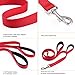 Uarter Nylon Dog Leash Extra Long 6ft Lead with 2 Dual Traffic Padded Handle Pet Leash