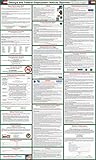 2017 (SPANISH) Georgia State and Federal Labor Law Poster - Laminated 24
