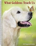 What Goldens Teach Us 2020 Engagement Calendar (Dog Breed Calendar) by