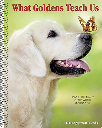 What Goldens Teach Us 2020 Engagement Calendar (Dog Breed Calendar) by 