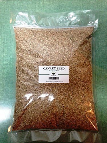 Canary Seed 18 lb plain