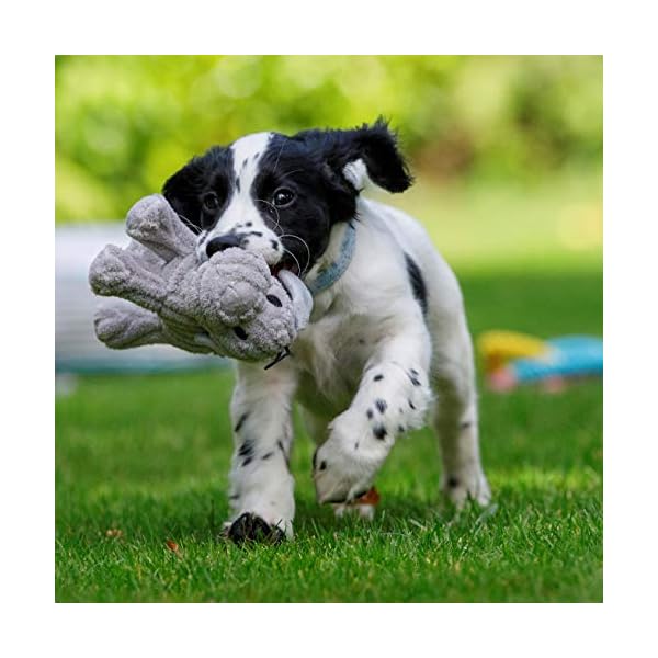 Petface-Little-Petface-Puppy-Dog-Toy-Freddi-Cord Petface (Little Petface) Puppy Dog Toy, Freddi Cord