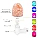 WAYNEWON Natural Himalayan Salt Lamp, Plug in Hand Carved Crystal Night Light – Best Living Room, Bathroom, Hallway Light [1 Regular Bulb & 1 Color Bulb]