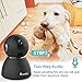 25fps 1080P HDR WiFi Security Camera Indoor, Ctronics IP Security Camera with Upgraded Night Vision, Motion & Sound Detection, Two-Way Audio, 355°Angle for Baby, Pet, Home Surveillance