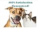 Pupkiss Pets Oatmeal Anti Itch Spray For Dogs & Cats | Relief For Pets With Allergies, Flea Bites, Itchiness & Sensitive Skin | Soothes & Moisturizes Dry Dog Skin | Made in USA