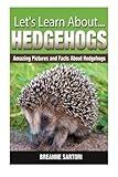 Hedgehogs: Amazing Pictures and Facts About Hedgehogs (Let's Learn About)