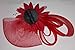 Coolr Women's Fascinators Hat Small Hairpin Feather Mesh Flower Hairclip (Red)