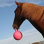 Horsemen's Pride Pink Jolly Ball