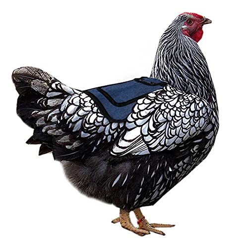 QAVILFLY Geflügelpflege, Haustier-Federschutz, Hühner-Sattel für Hühner, Enten oder Gans, Training, verstellbar, Hühner…
