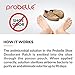 Probelle Stop Shoe Odor, Shoe Deodorant Patch. Refreshes Shoe with Essential Oils, Stays in sneakers, shoes for 90 days, Set it & forget it. (Universal)