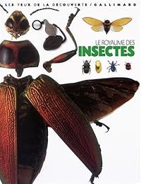 Le  royaume des insectes