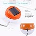 Solar Table Lights,Solar Powered Led Light Rechargeable Emergency Lighting for Home,Camping Gifts