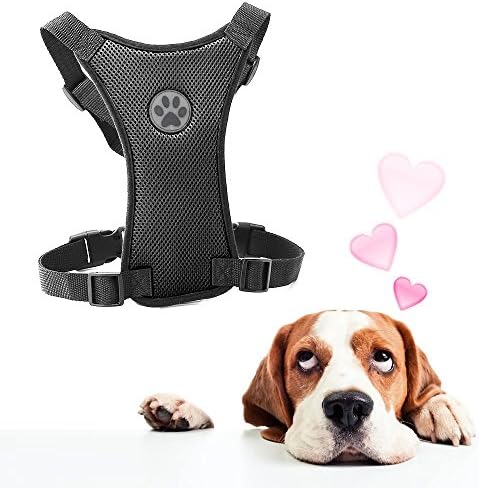 VIVINATURE Pet Car Safety Harness Vehicle Harness with Soft Padding Outdoor Adventure Pet Vest Large Size for Dogs (Black)