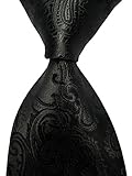 New Pulm Paisley Jacquard Woven Men's Tie Necktie