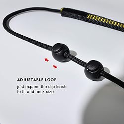 BeauGo Slip Leads for Dogs,Thin Slip Lead,Dog