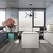 Light Society Meridia Sputnik 12-Light Chandelier Pendant, Matte Black, Mid Century Modern Industrial Starburst-Style Lighting Fixture (LS-C172-BLK)